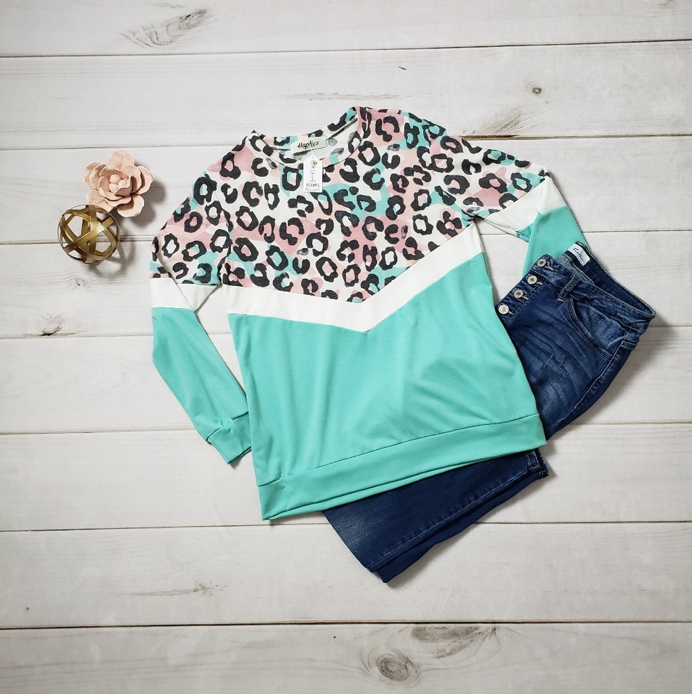 Pastel/Mint Chevron Animal Print Top